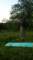 dsc02278_small.jpg