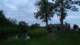 dsc02340_small.jpg
