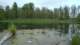 dsc02399_small.jpg