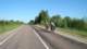 dsc02419_small.jpg