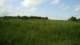 dsc02449_small.jpg
