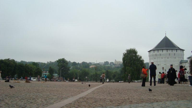 dsc02547.jpg