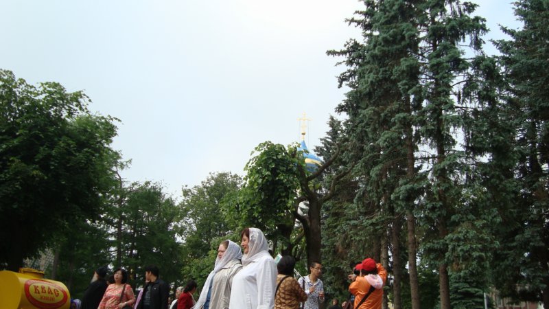 dsc02555.jpg