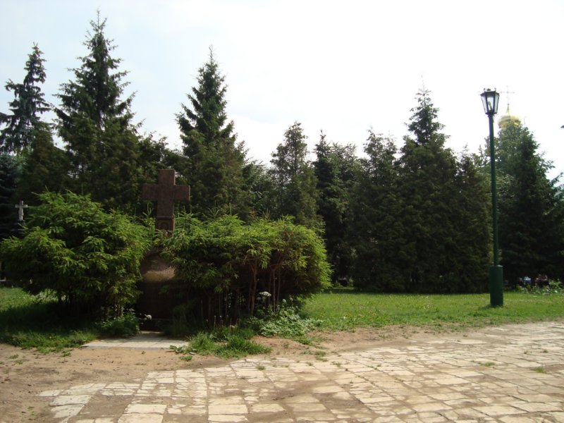 dsc02584.jpg
